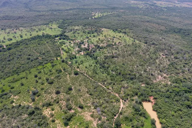 Vista aérea de imóvel rural em Goiás com áreas abertas para pastagem entremeadas de vegetação nativa do Cerrado