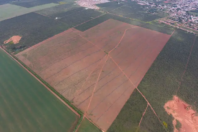 Desembargo de área em Goiás: como derrubar o embargo ambiental da SEMAD