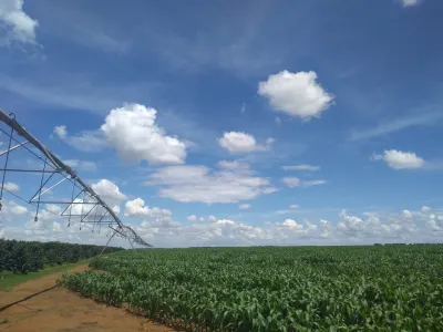 Outorga de Irrigação (Sistema Vereda - SEMAD) — foto 4