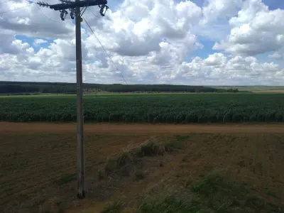 Outorga de Irrigação (Sistema Vereda - SEMAD) — foto 5