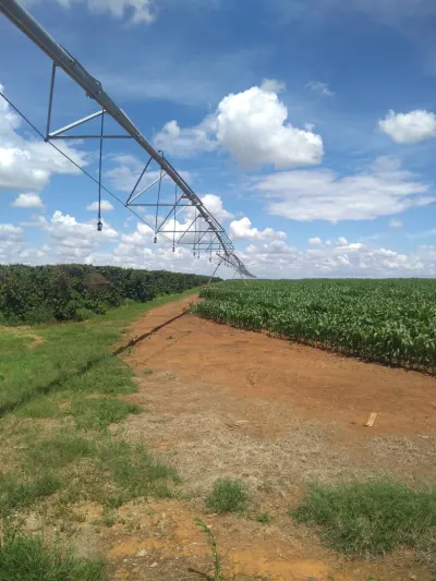 Outorga de Irrigação (Sistema Vereda - SEMAD) — foto 7