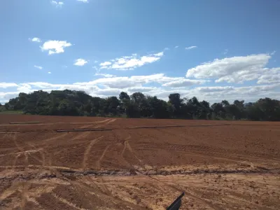 Outorga de Irrigação (Sistema Vereda - SEMAD) — foto 8